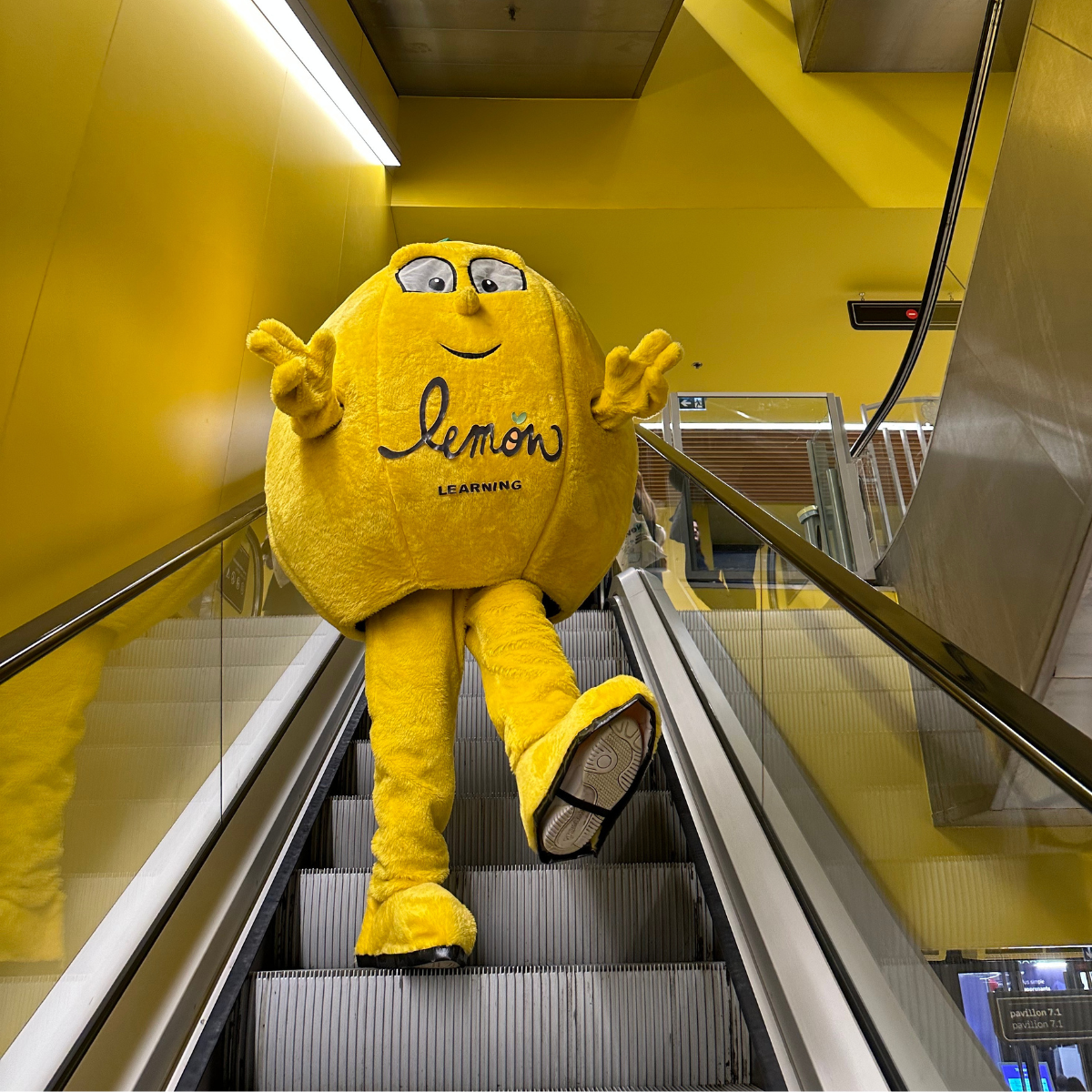 mascotte